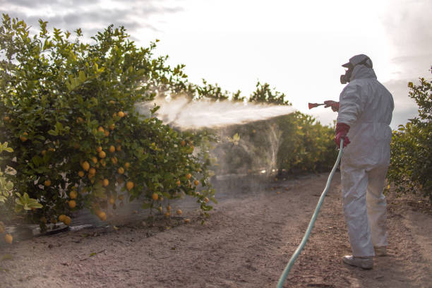 Trusted Welcome, SC Pest Control Experts