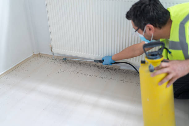 Best Termite Control Services  in Welcome, SC